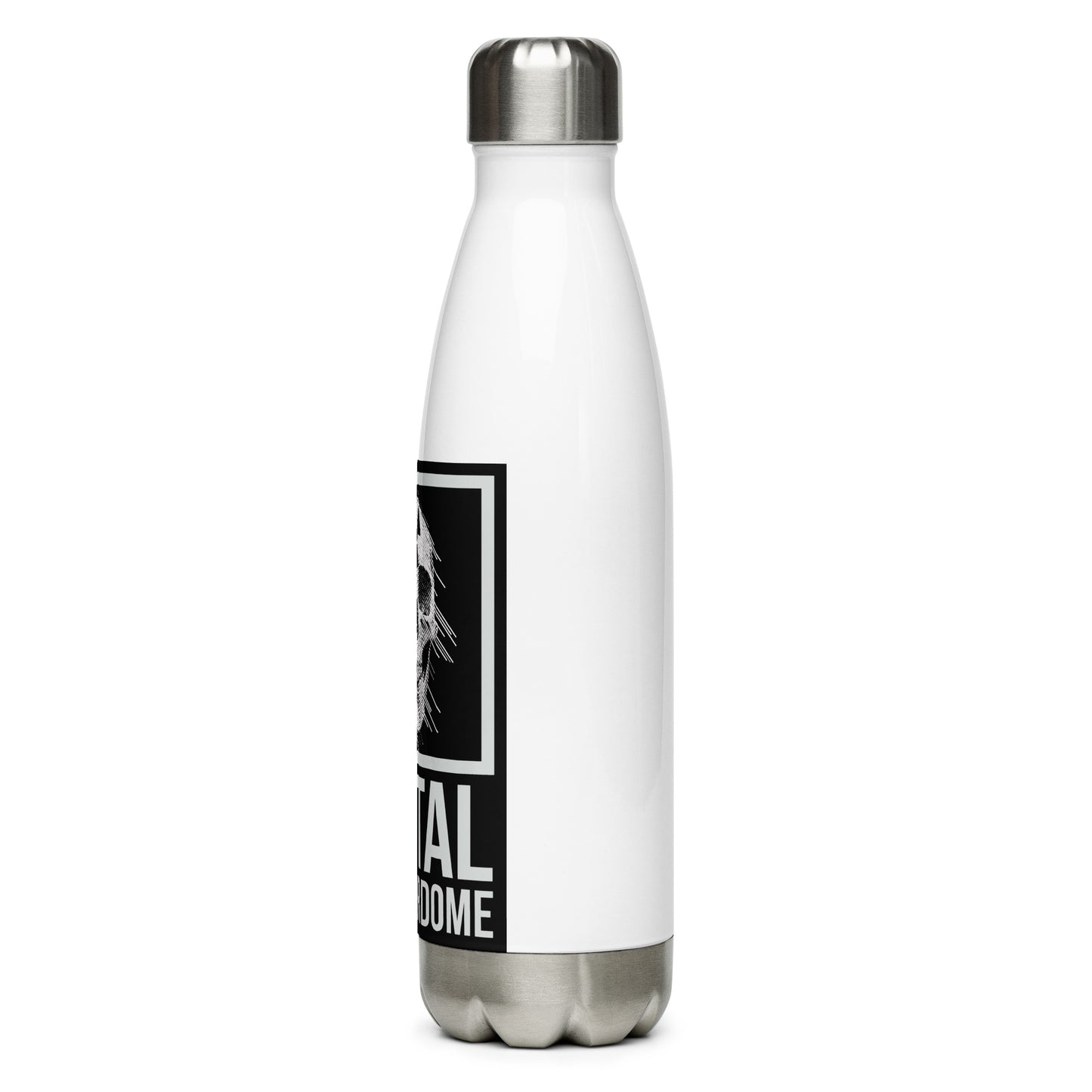 DT Stainless Steel Water Bottle